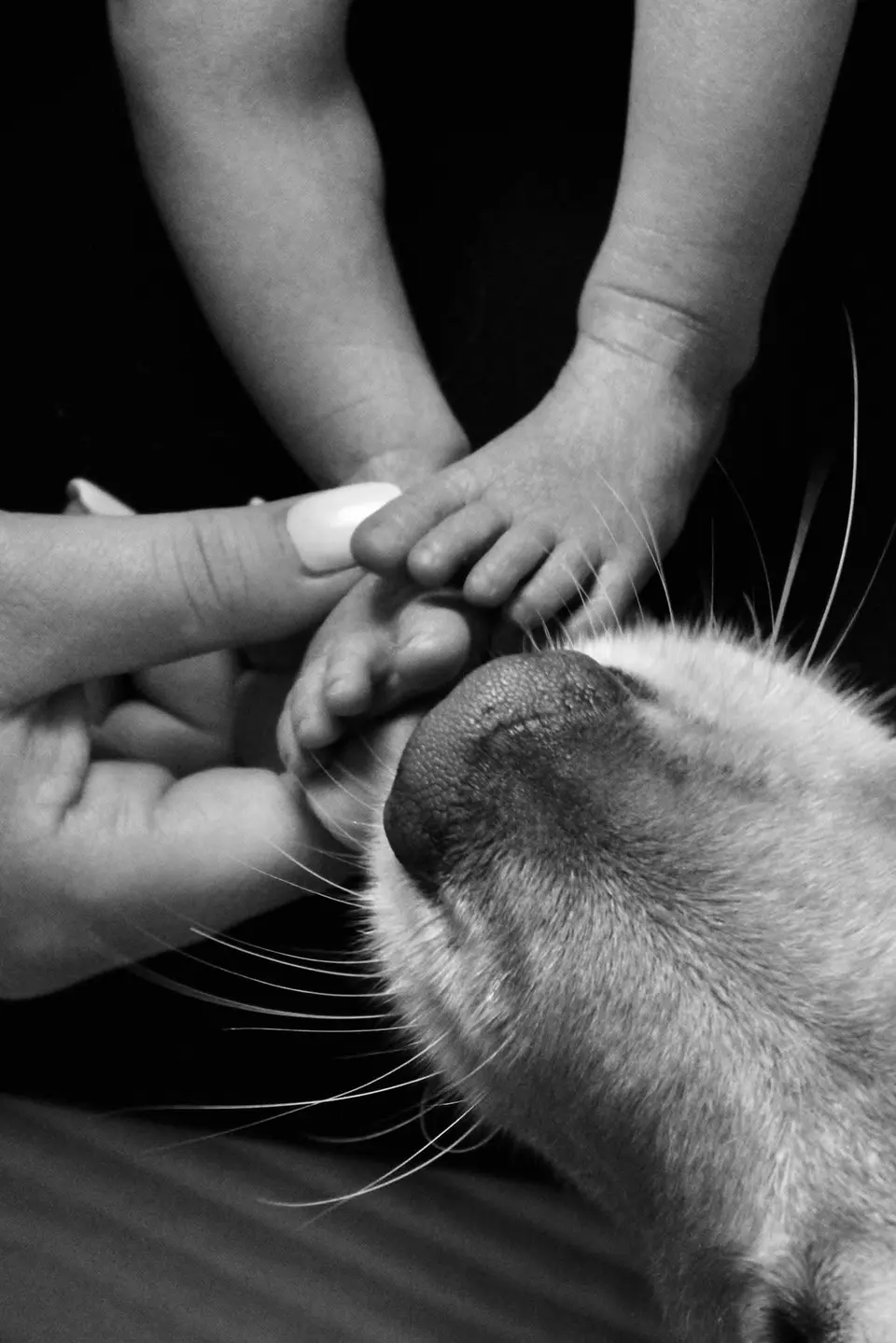 A baby sharing a quiet moment with the family dog