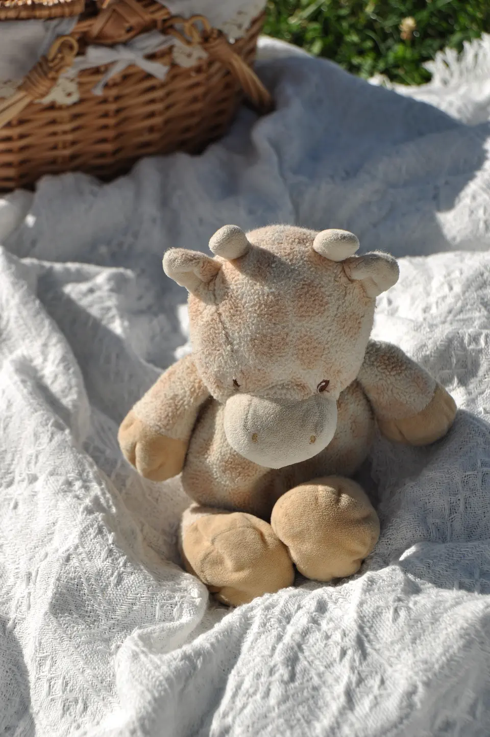 A plush giraffe resting on a white blanket during an outdoor newborn session